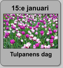 15:e januari  Tulpanens dag
